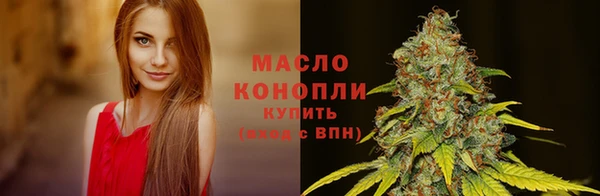 ECSTASY Михайлов