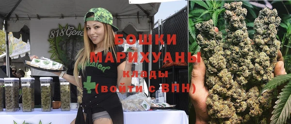 хмурый Михайловск