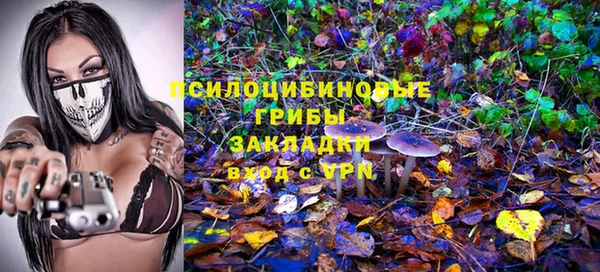 ECSTASY Михайлов