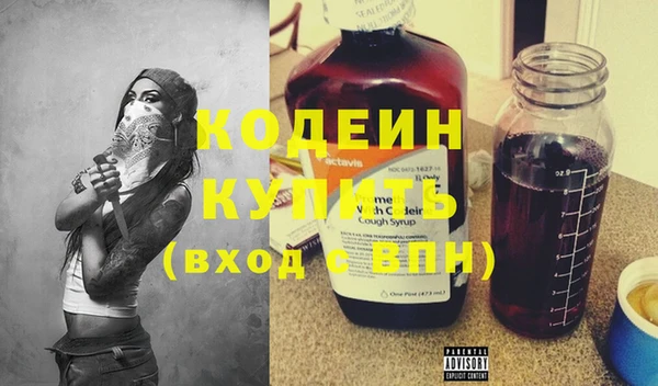 хмурый Михайловск