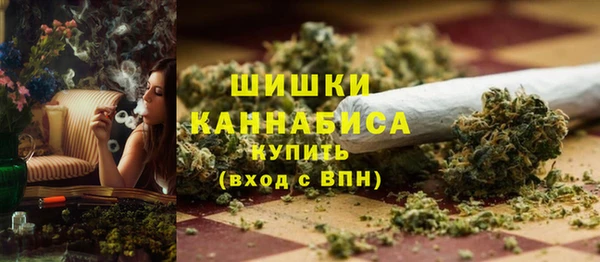 хмурый Михайловск