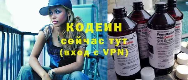 хмурый Михайловск