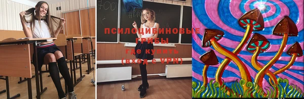 хмурый Михайловск