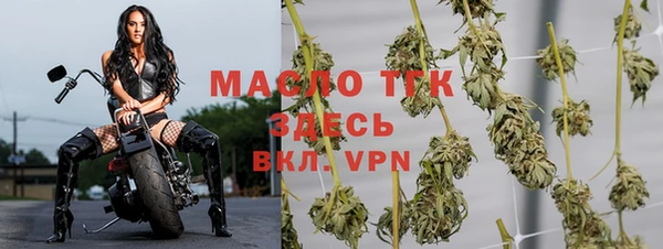 хмурый Михайловск