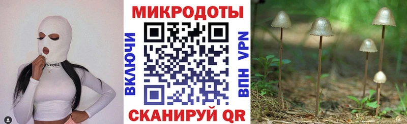 Галлюциногенные грибы мухоморы  Андреаполь 